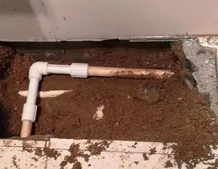 行唐测漏水哪家好