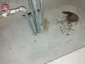 行唐卫生间测漏水价格明细