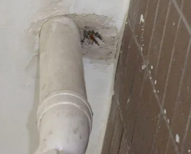 行唐漏水检测哪家好